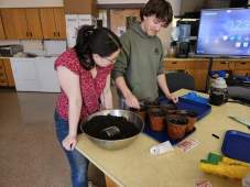 Photo: Aquaponics